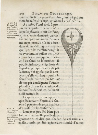 Homunculus depicted inside human sperm, from Essay de Dioptrique by Niklass Hartsoeker by French School